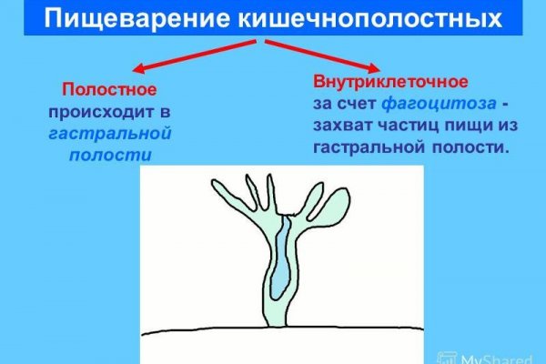 Кракен клир