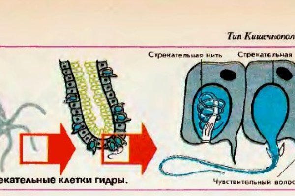 Где взять ссылку на кракен