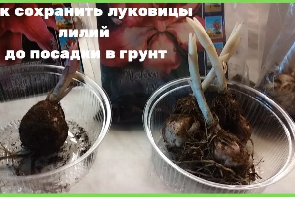 Кракен активная ссылка